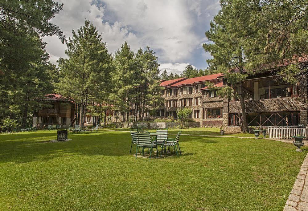 Senator Pine N Peak Otel Pahalgām Dış mekan fotoğraf