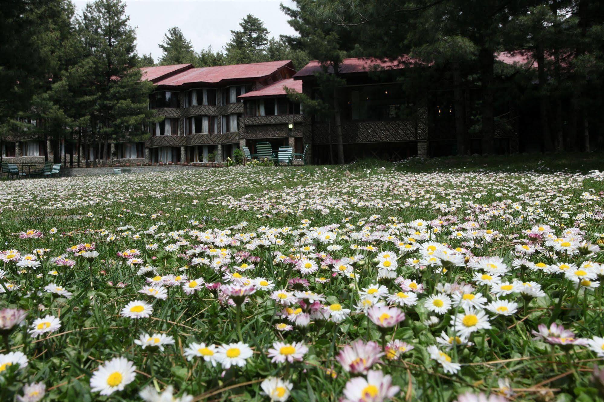 Senator Pine N Peak Otel Pahalgām Dış mekan fotoğraf