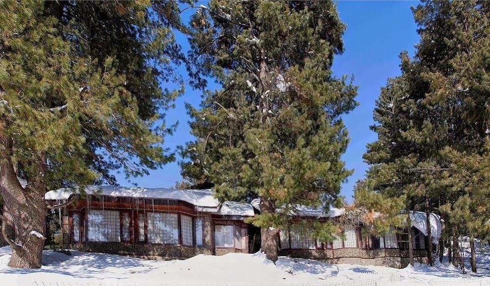 Senator Pine N Peak Otel Pahalgām Dış mekan fotoğraf